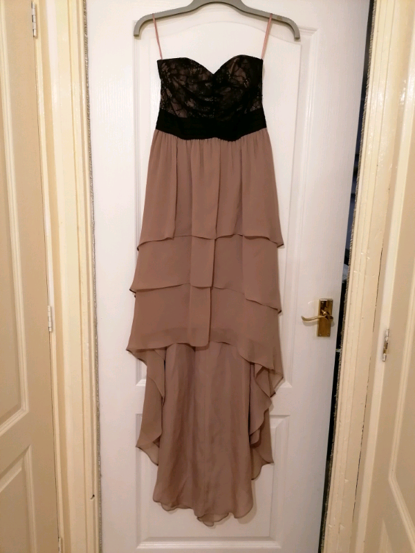 coast dresses at debenhams